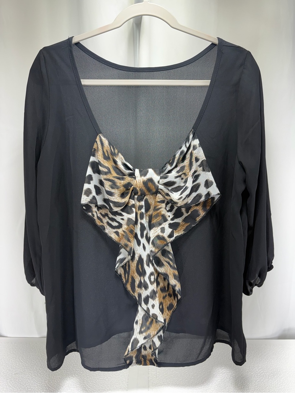 Sheer V-Neck Blouse in Black 4596